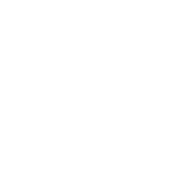 The National Trial Lawyers: Top 100